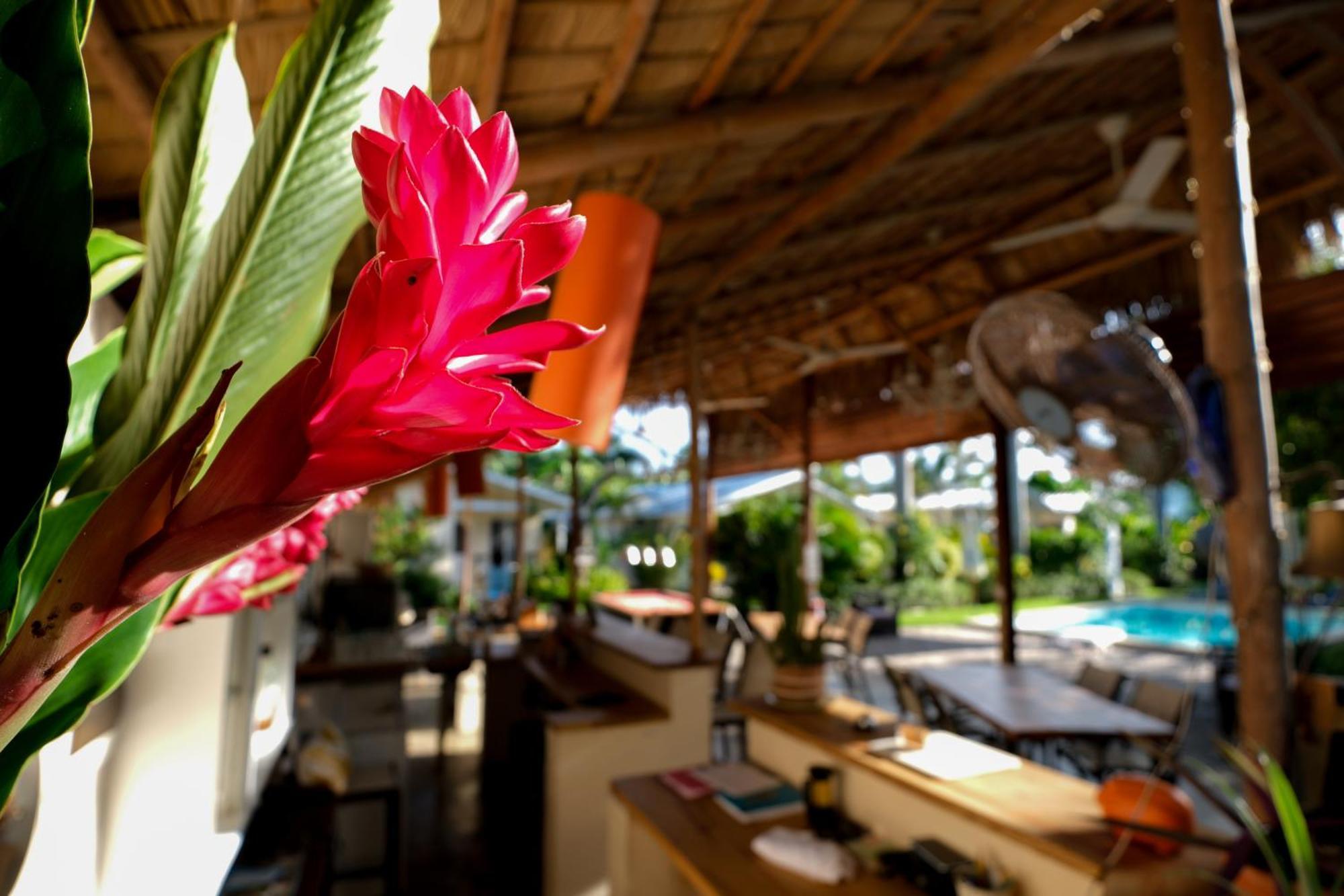 Hotel Enjoy Las Terrenas Bagian luar foto